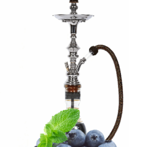 BlueBerry